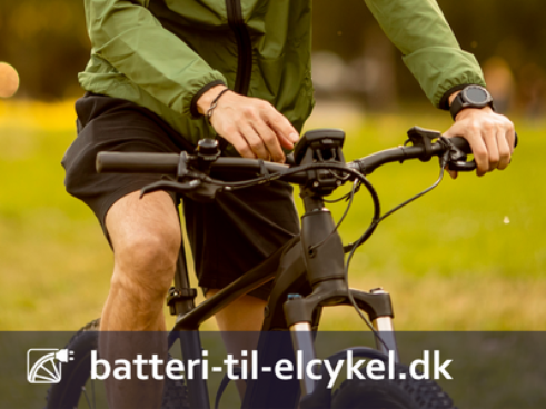 Hvad koster et cykelbatteri?