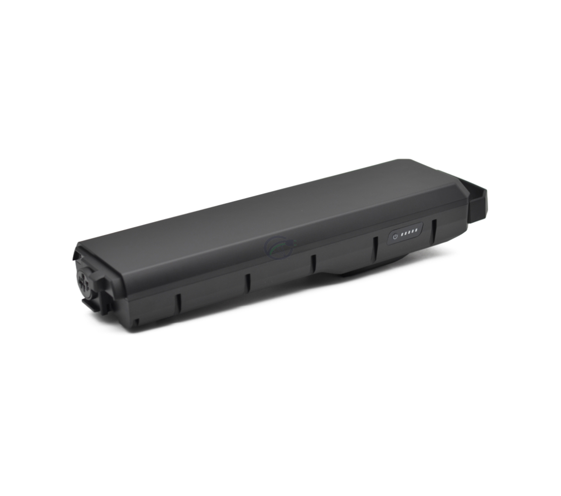 Skråt sidebillede af Bosch Powerpack 700 Performance/Active bagagebærer E-Bike Vision. Siden af batteriet med batteriindikatoren er godt synlig.