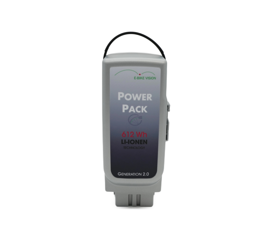 Bagsidevisning af Panasonic Deluxe 36V 17Ah Compatible.